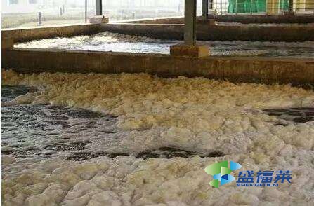  養(yǎng)殖場污水處理用什么藥劑