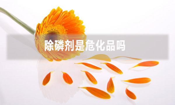 除磷劑是?；穯? width=
