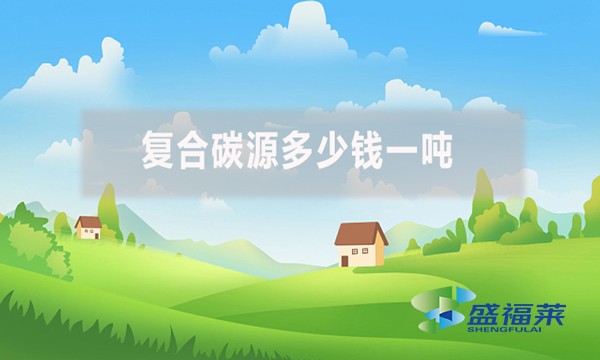 復(fù)合碳源多少錢一噸？
