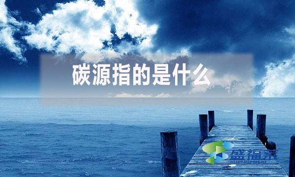 碳源指的是什么？