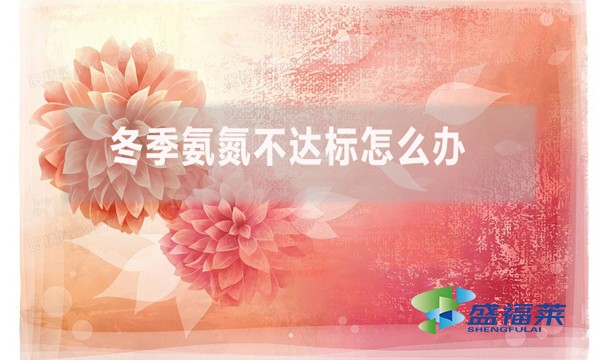 冬季氨氮不達標(biāo)怎么辦？