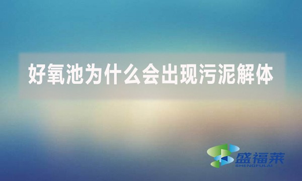 好氧池為什么會(huì)出現(xiàn)污泥解體？上清液細(xì)碎污泥多是怎么回事？