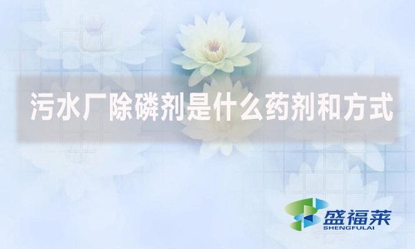 污水廠除磷劑是什么藥劑和方式？
