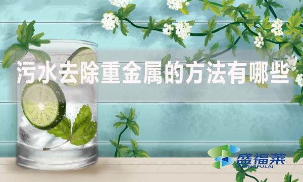 污水去除重金屬的方法有哪些？