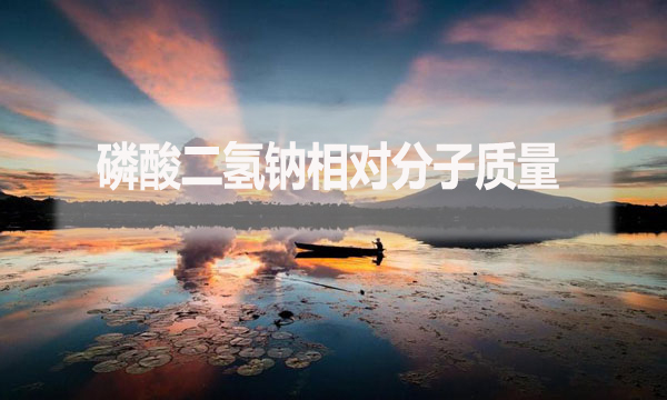 磷酸二氫鈉相對分子質(zhì)量是什么？應(yīng)該怎么算？
