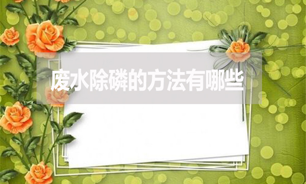 廢水除磷的方法有哪些？