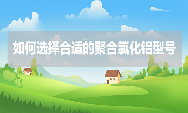 如何選擇合適的聚合氯化鋁型號？