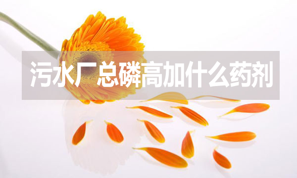 污水廠總磷高加什么藥劑？