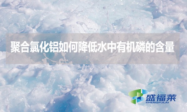 聚合氯化鋁如何降低水中有機(jī)磷的含量？