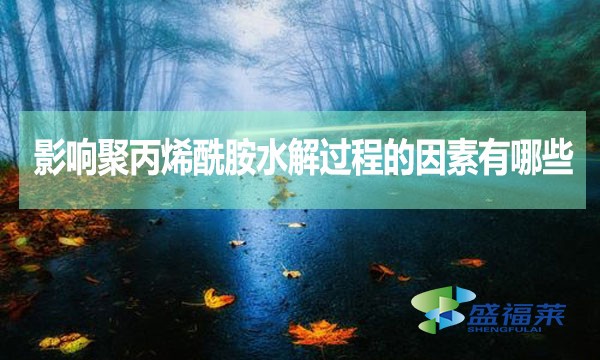 影響聚丙烯酰胺水解過(guò)程的因素有哪些？